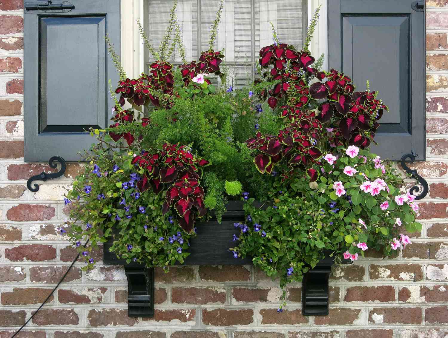 22 Window Box Ideas for Colorful Flowers