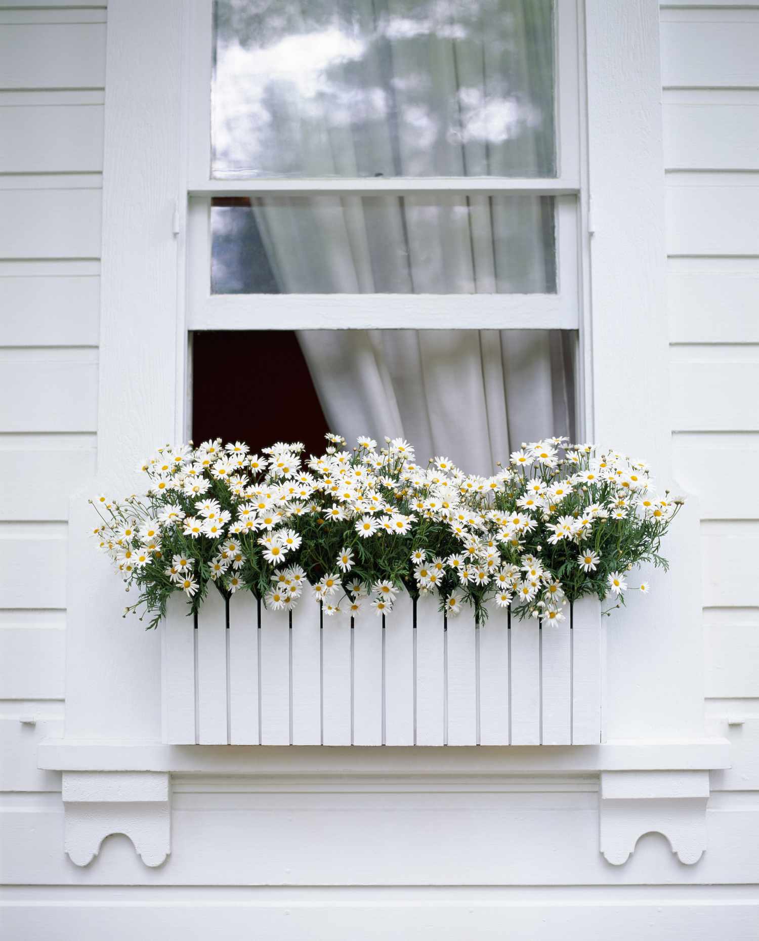 22 Window Box Ideas for Colorful Flowers