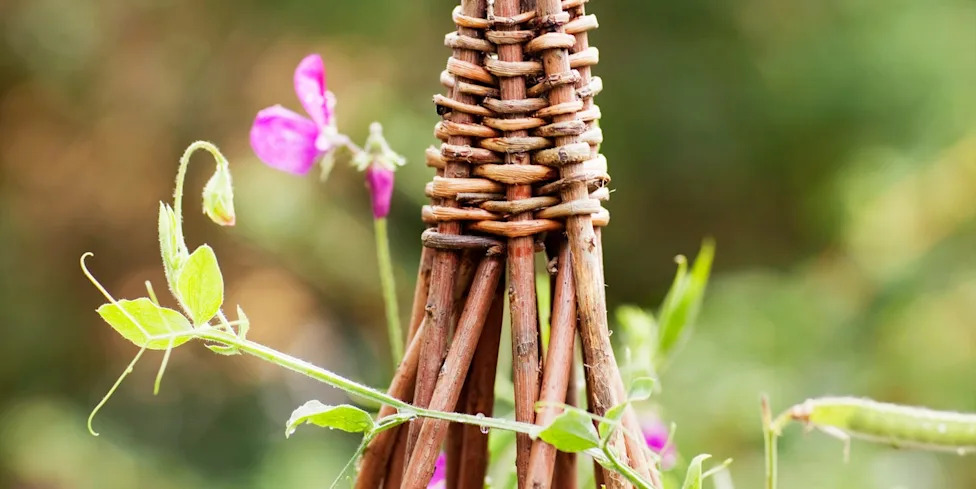 23 clever trellis ideas to transform your garden - Yahoo Life UK