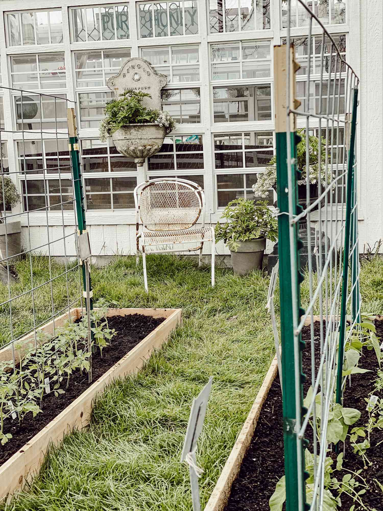 24 Easy DIY Trellis Ideas for Your Garden