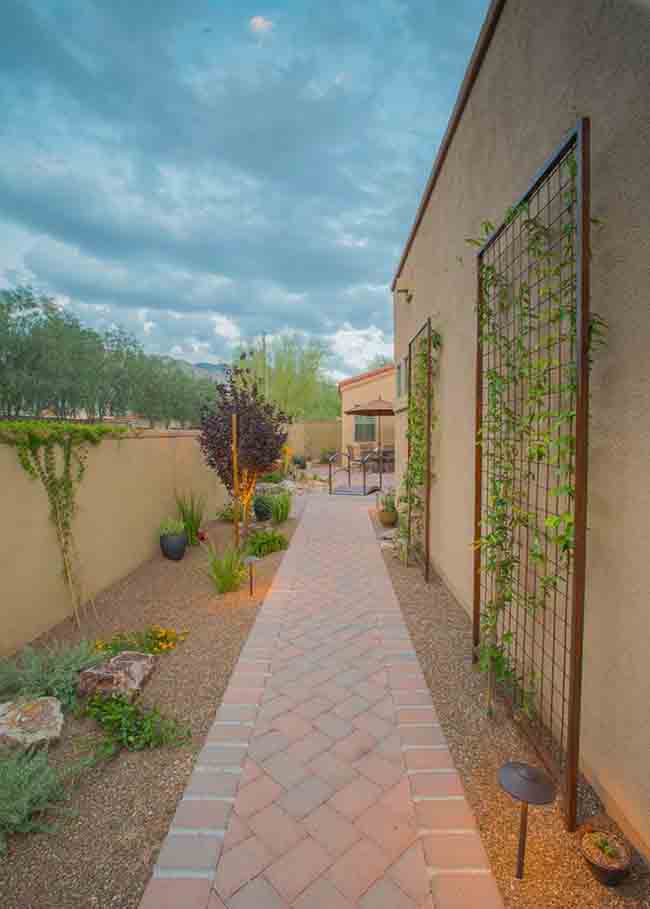 38 Creative Desert Garden Ideas That Replace Traditional Lawns