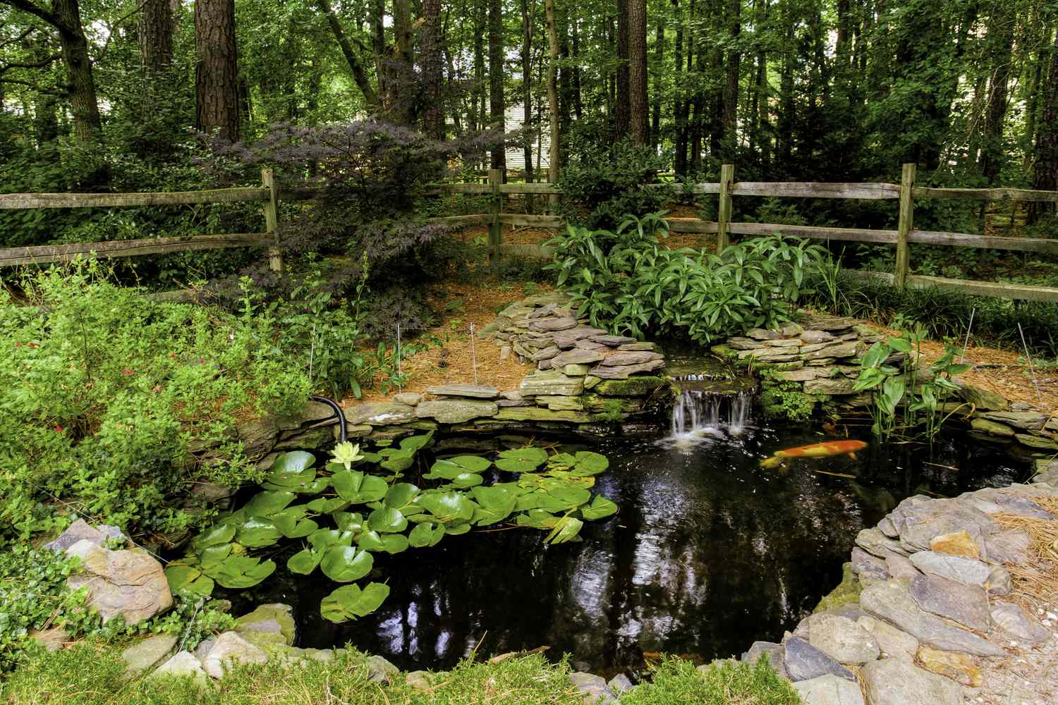 9 Backyard Pond Ideas That Will Transform Your Outdoor Space