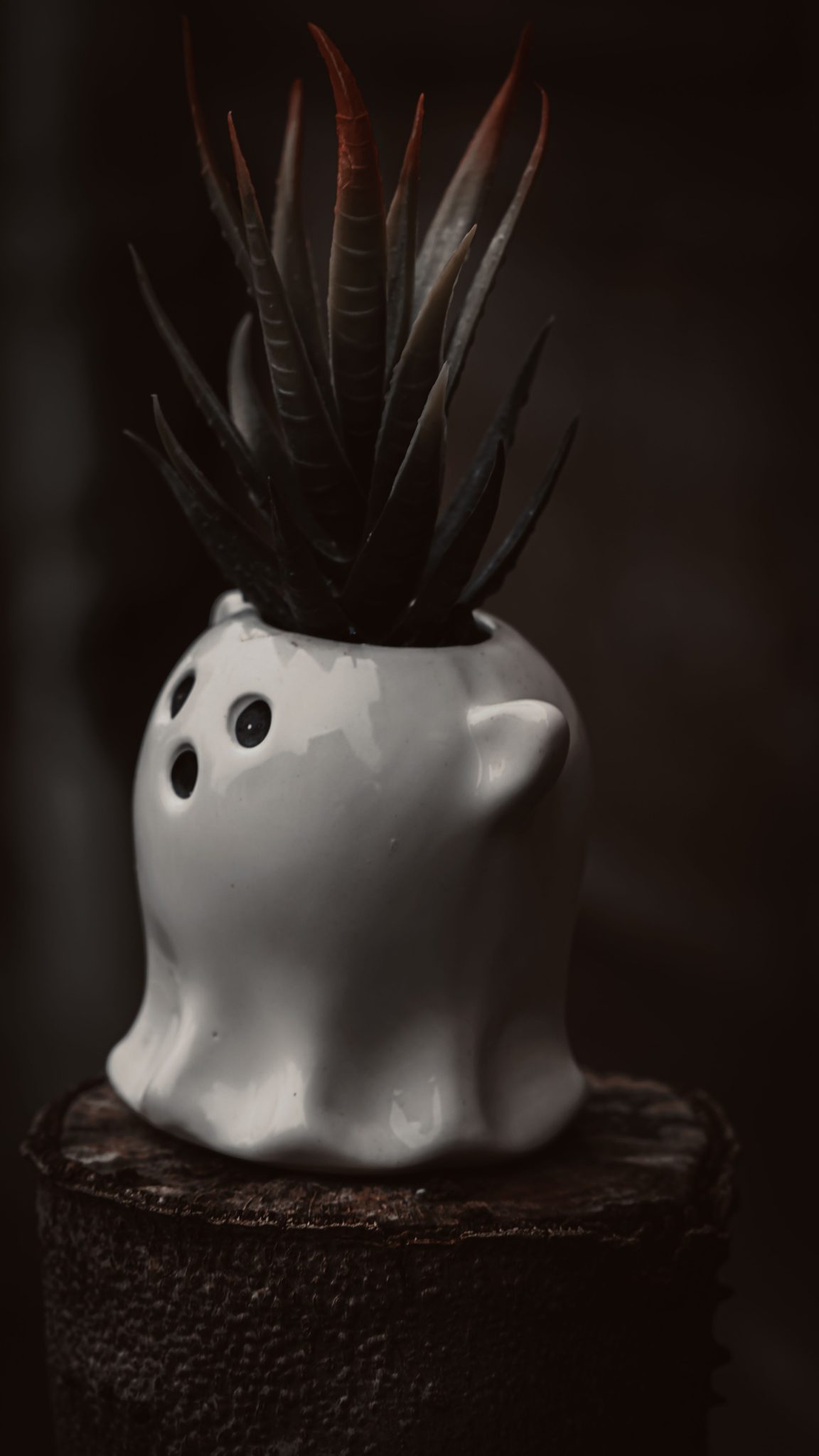 A ceramic ghost-shaped planter with a succulent captures a moody, artistic vibe.