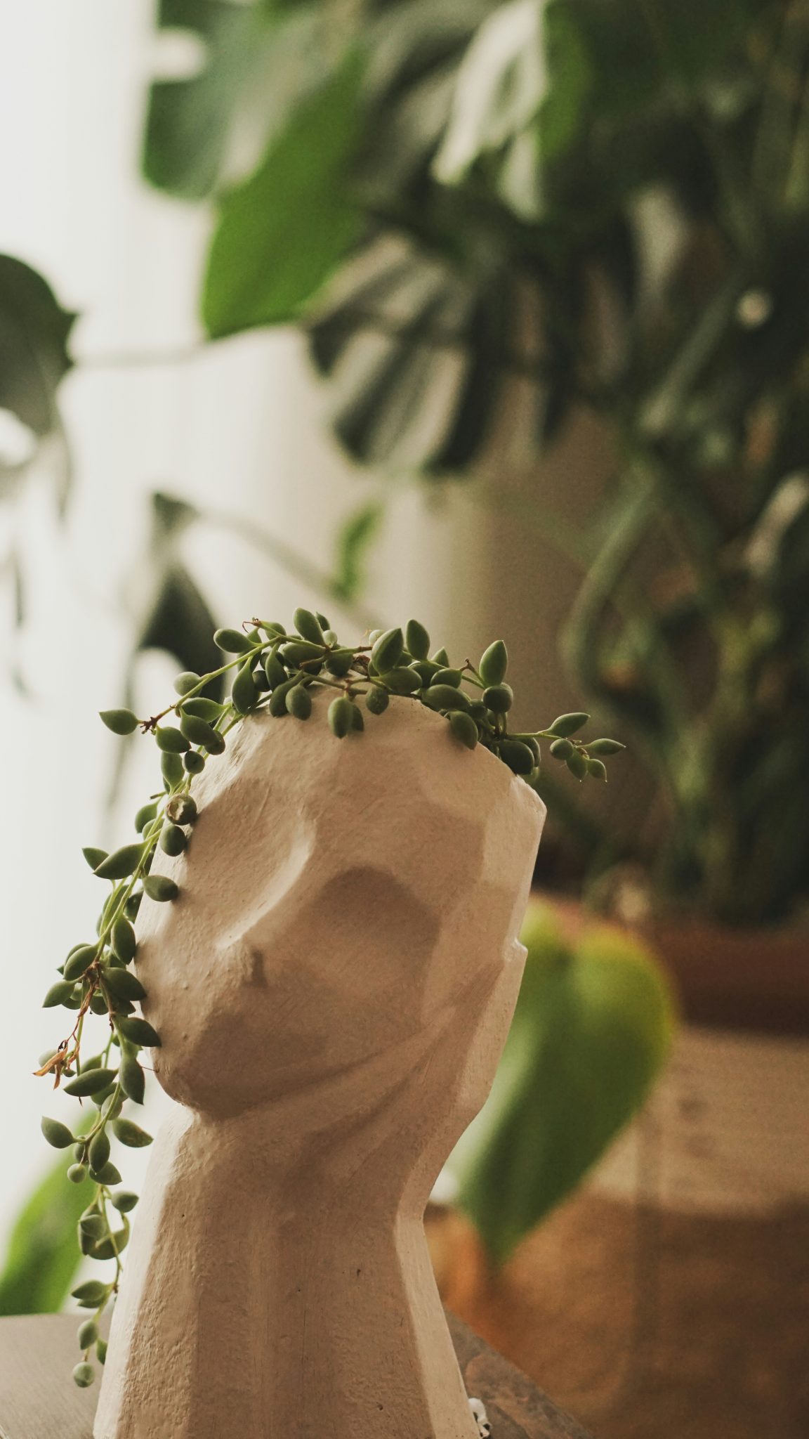 a ceramic head with a plant growing out of it