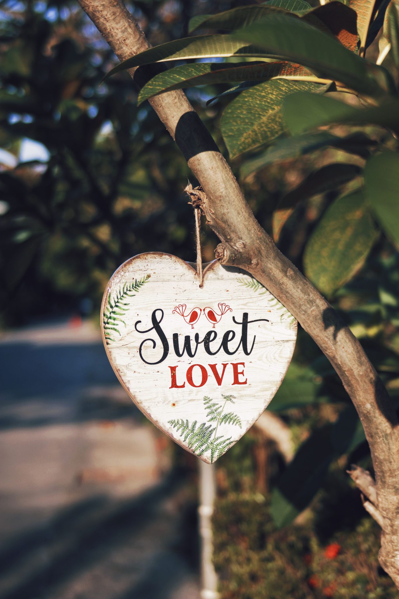 A heart-shaped wooden sign with 'Sweet Love' text hangs on a tree branch in a sunlit garden.