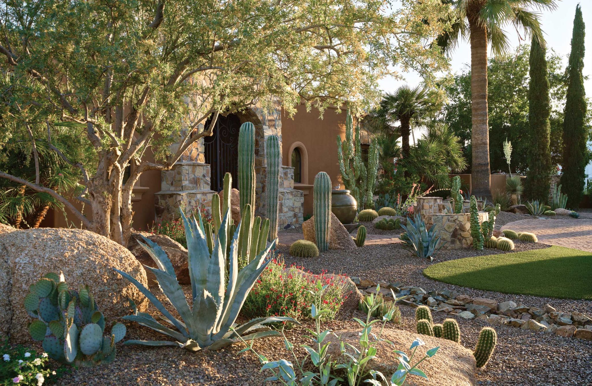 A Once Overgrown Paradise Valley Landscape Becomes a Couple's Dreamy Desert Retreat - Phoenix Home & Garden