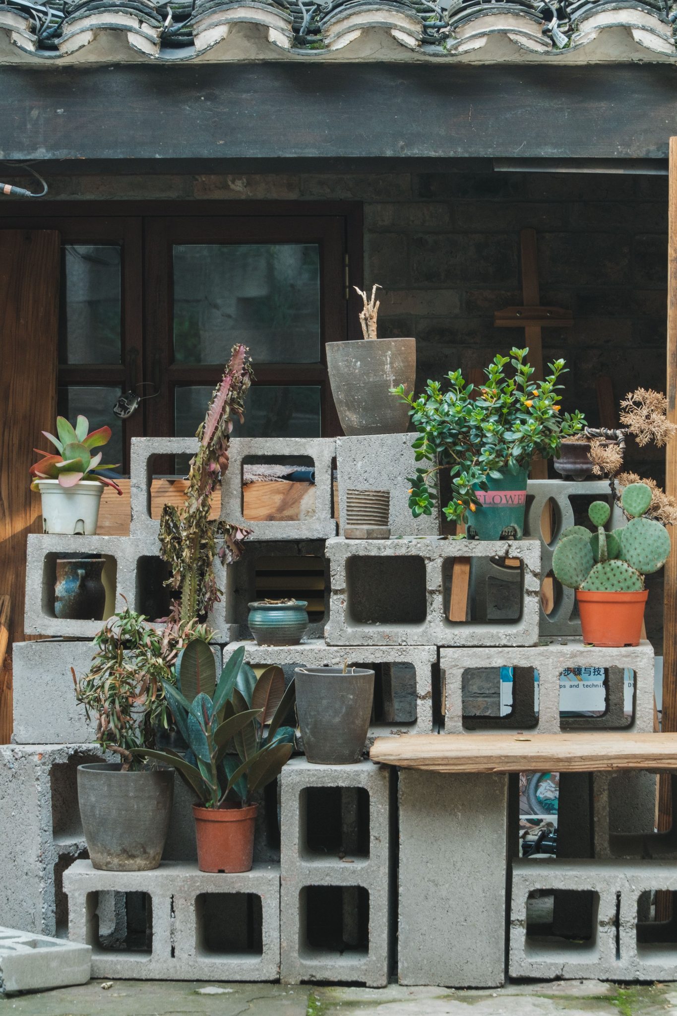 A variety of potted plants among stacked concrete blocks in a rustic setting.