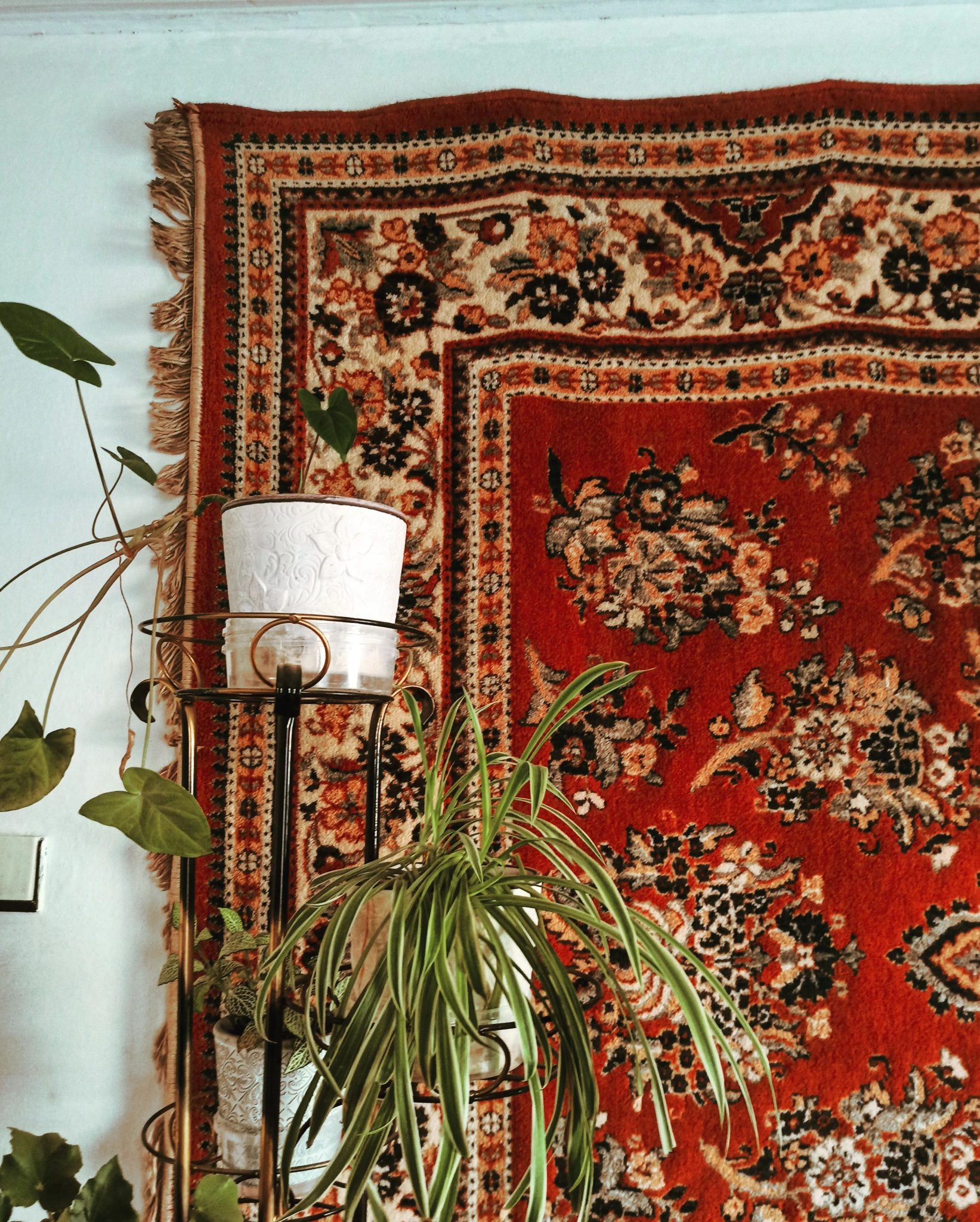 A vibrant red ornate rug paired with lush indoor plants creates a cozy interior decor scene.