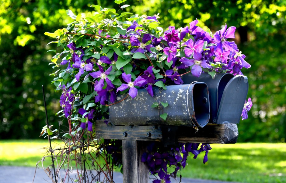 Add Curb Appeal With These 10 Mailbox Landscaping Ideas - homeyou
