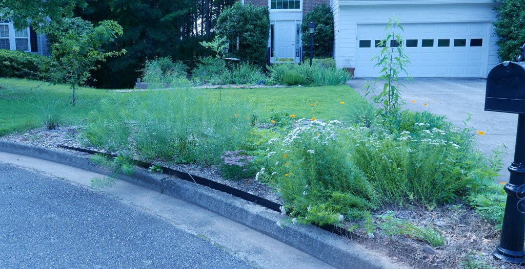 Adding Natives: Mailbox Edition – Go Wildscaping