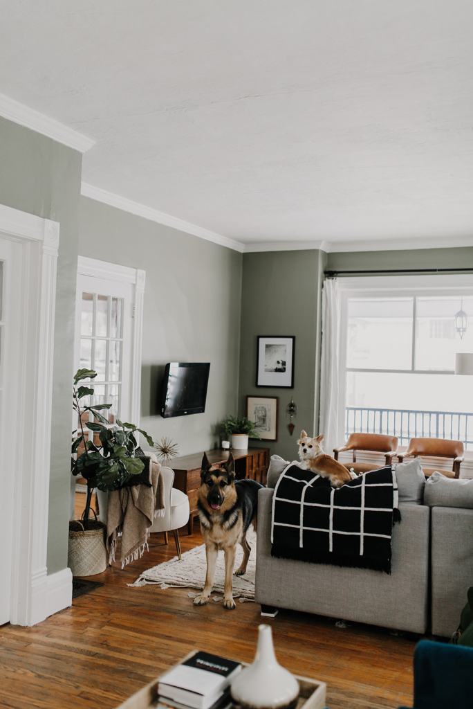 An Earthy, Eclectic Sage Green Living Room -