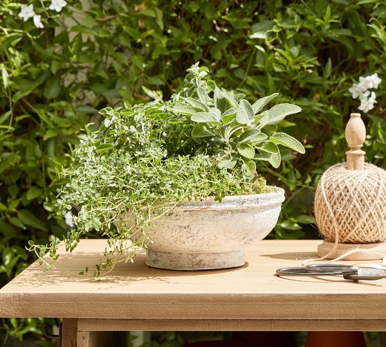 Artisan Hand Painted Terracotta Outdoor Planters | Pottery Barn