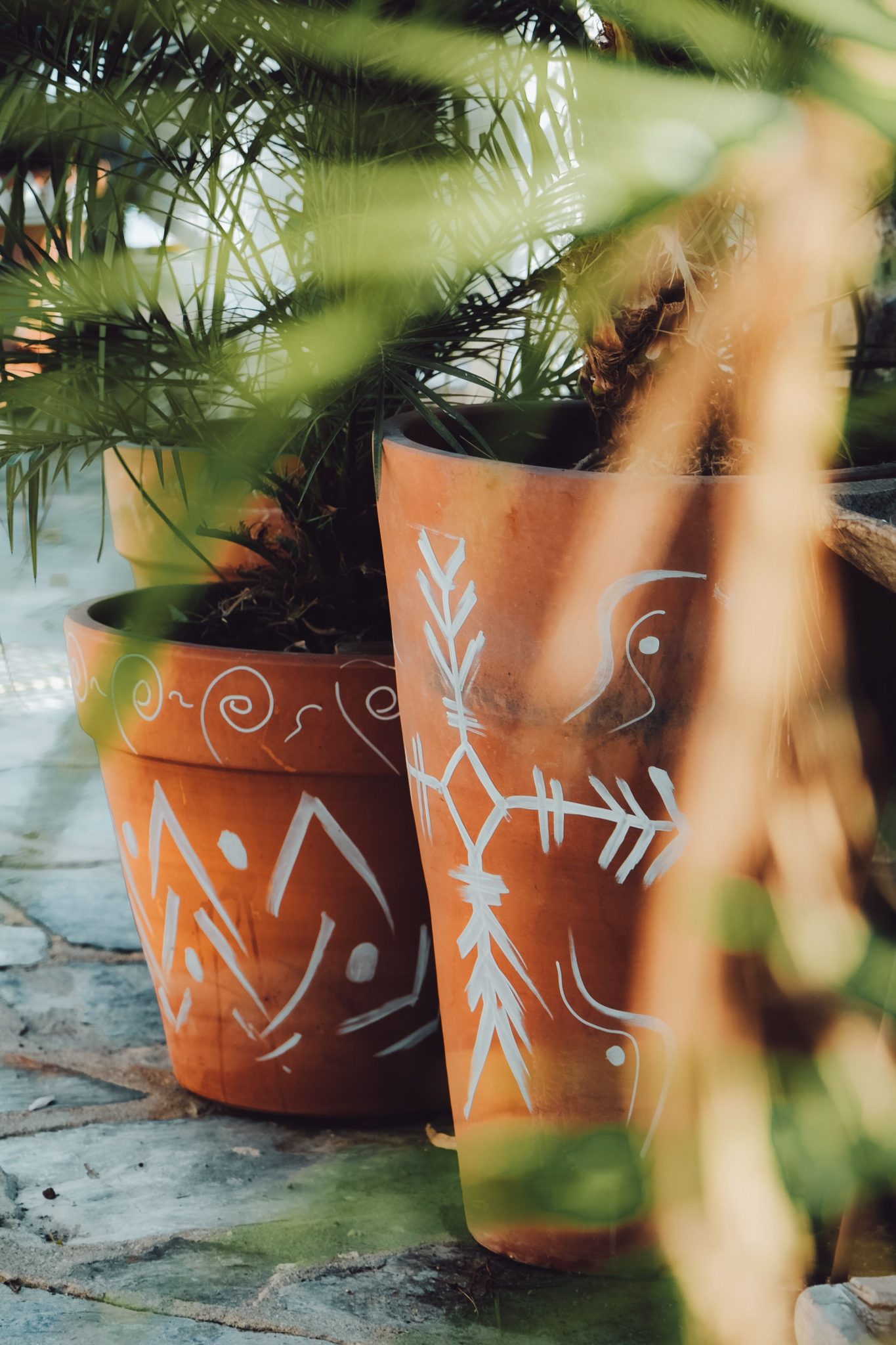 Artistic terracotta pots with tropical plants in Bodrum, Turkey.