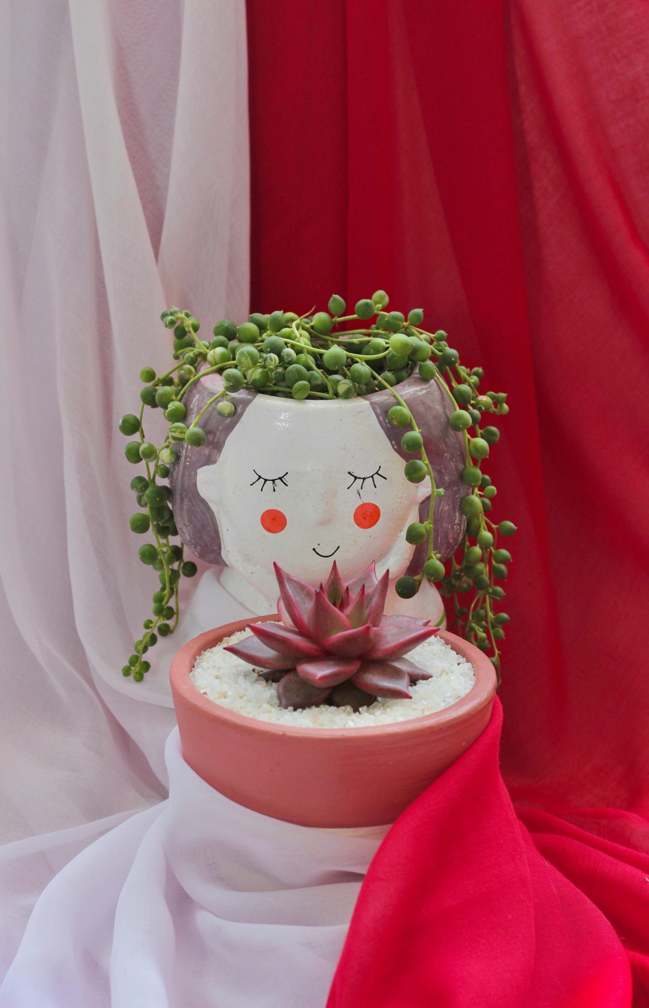Beautiful succulent plants in Indonesia Independence Day decoration
