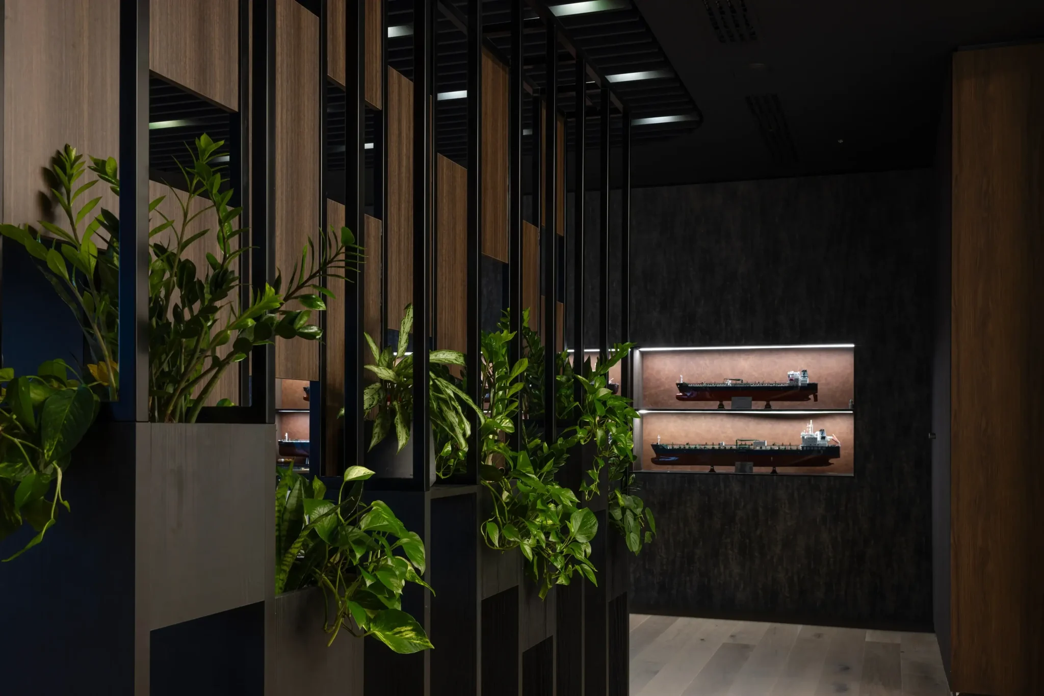 Best Office Plants for Every Workplace | Low Light, Air Purifying & Easy Care Ideas