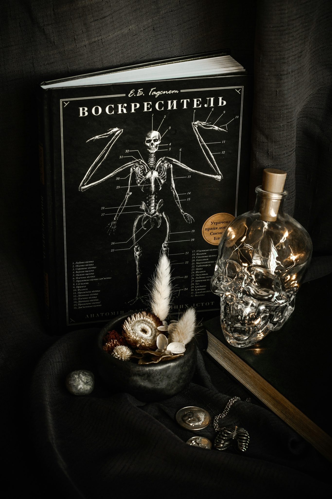 Book with anatomical skeleton, skull lantern, and small bowl