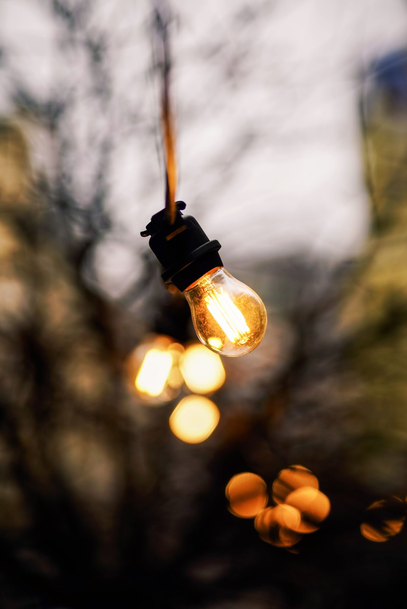 Captivating shot of glowing light bulbs hanging outdoors at dusk, creating a warm ambiance.