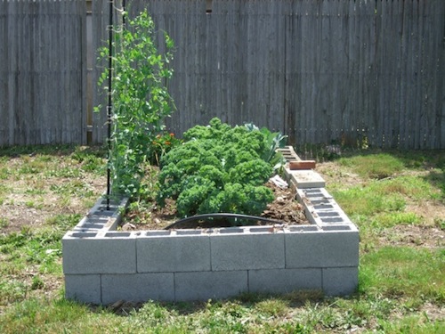 Cinder blocks are an easy way to build raised garden beds - RiverheadLOCAL