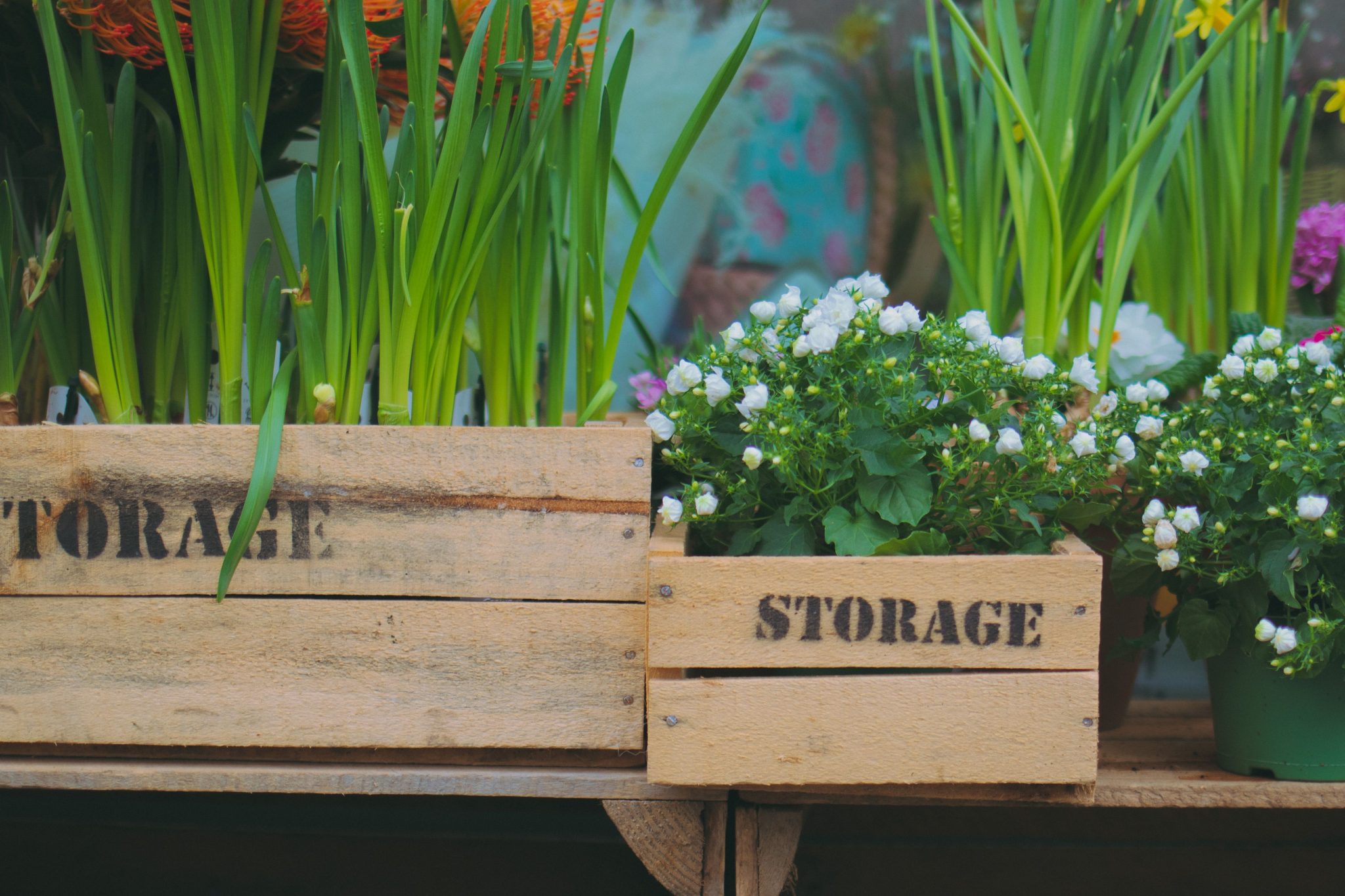 Colorful flowers and green plants in wooden storage crates outdoors.
