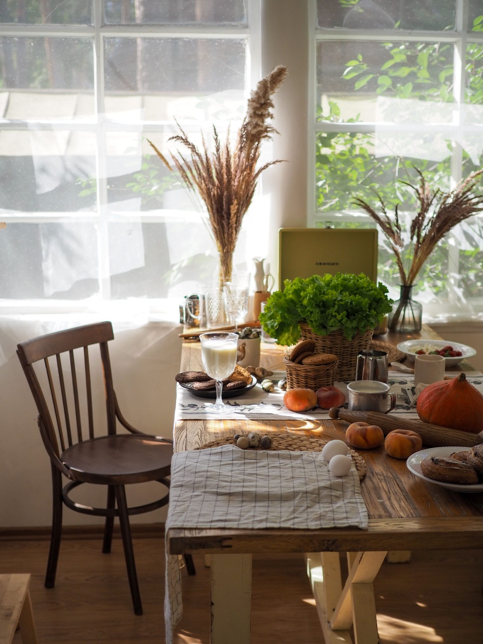 Cozy kitchen table scene with autumn decorations and green plants in sunlight.