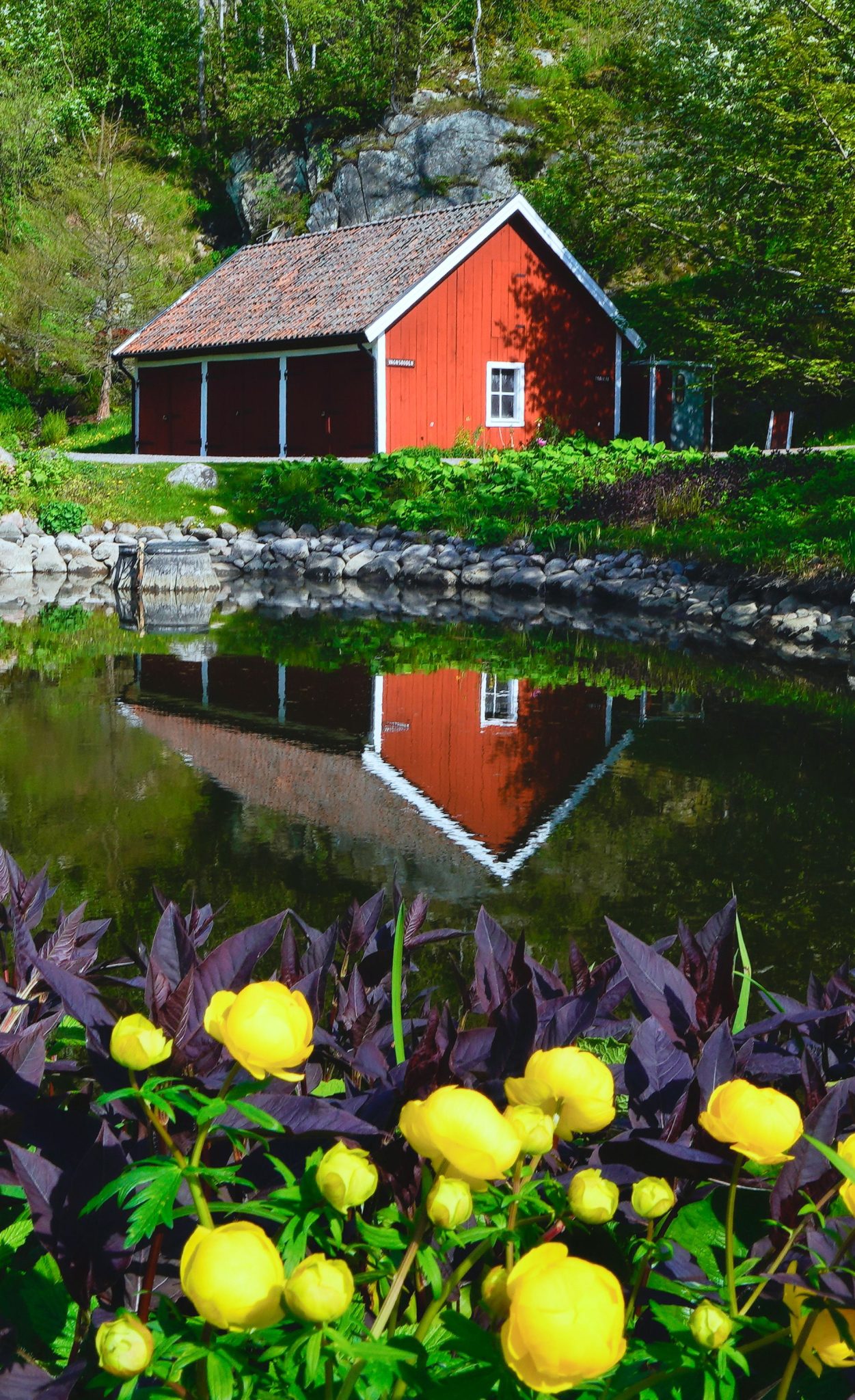 Cozy red cottage in Jönköping, Sweden reflected in a tranquil pond with vibrant yellow flowers.