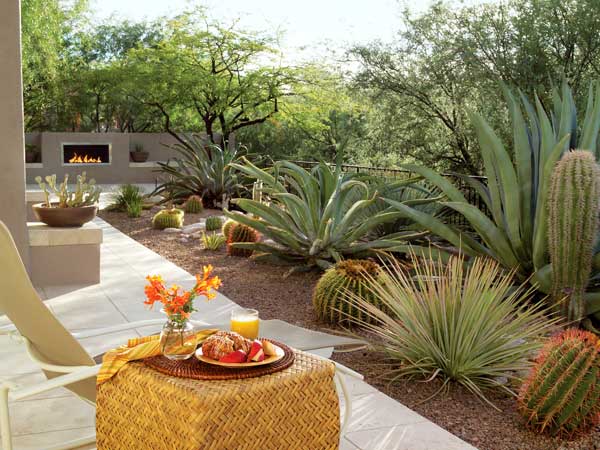 Desert Garden and Landscape Ideas • The Garden Glove