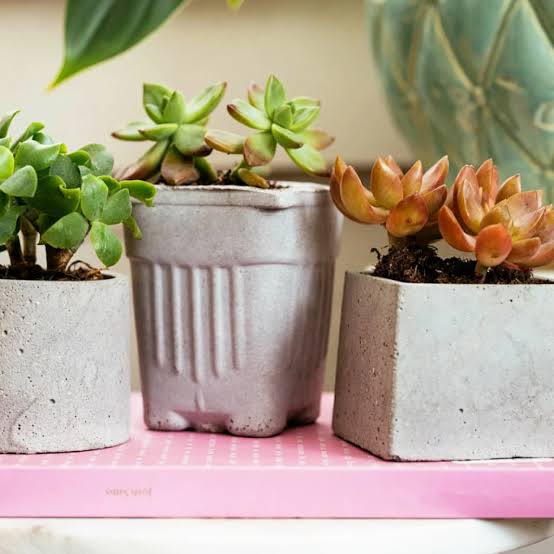 DIY Concrete Planters: A Step-by-Step Guide | HGTV