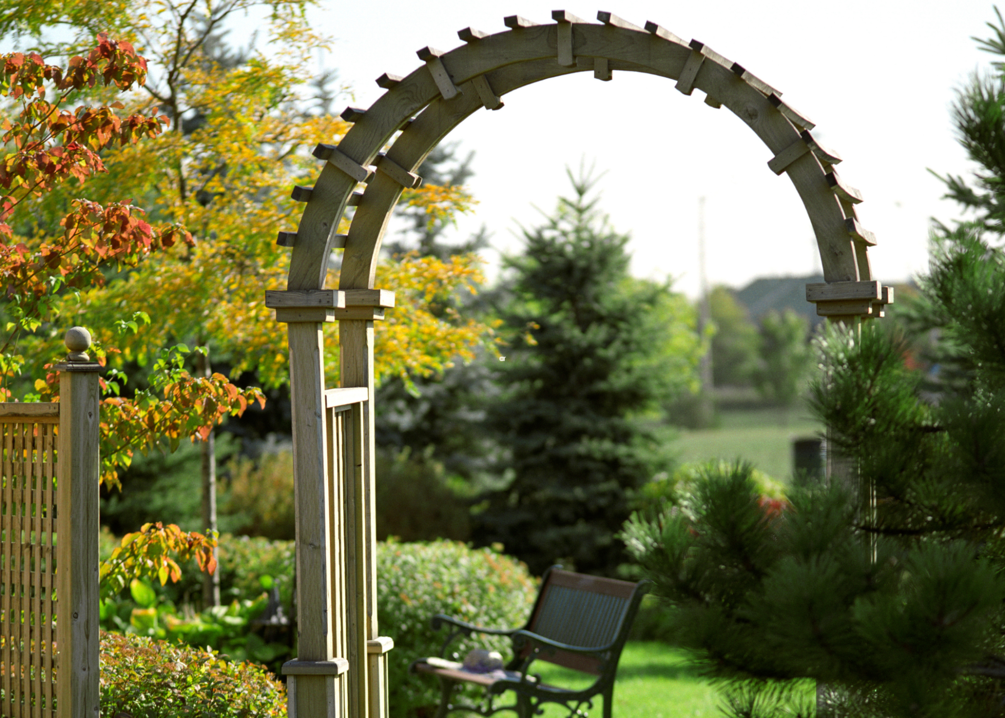 DIY Garden Arch Ideas That Will Enhance Your Outdoor Space - ManMadeDIY