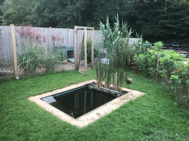Duck pond enclosure - Country - Garden - Hampshire - by Roeder Landscape Design Ltd | Houzz UK