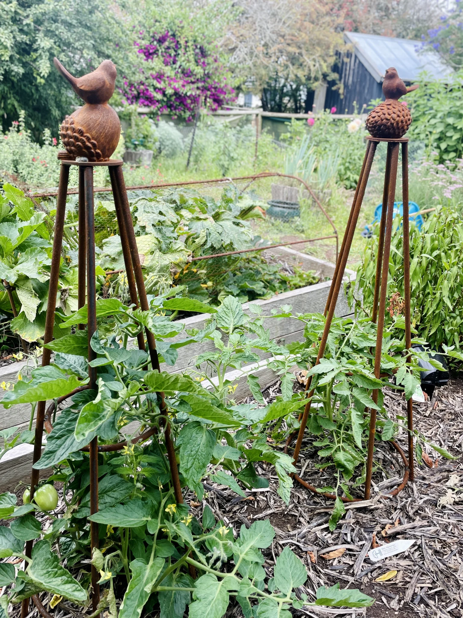 Durham Garden | Handmade Rustic Garden Obelisks & Plant Supports