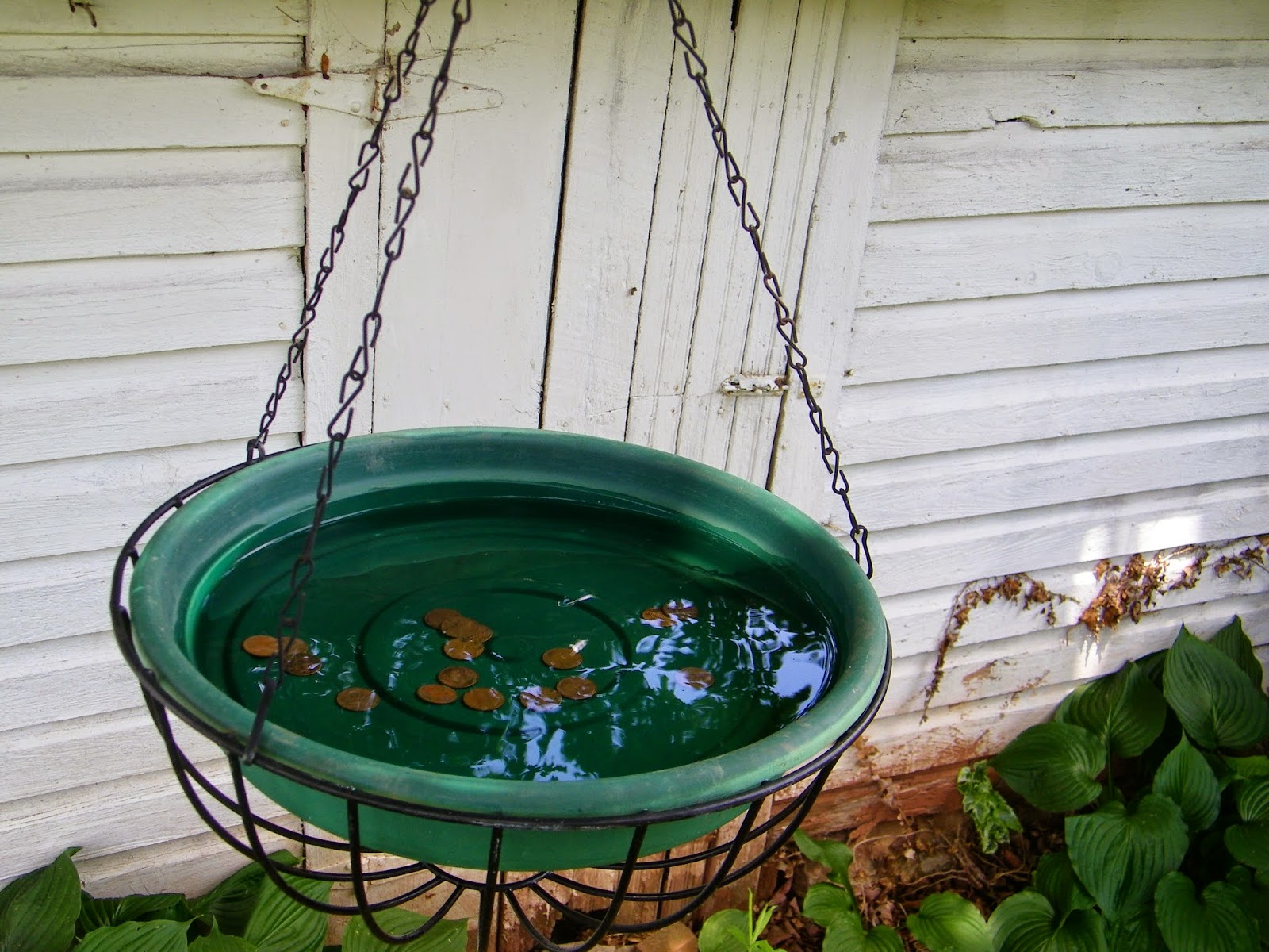 Eclectic Momma: DIY Bird Bath