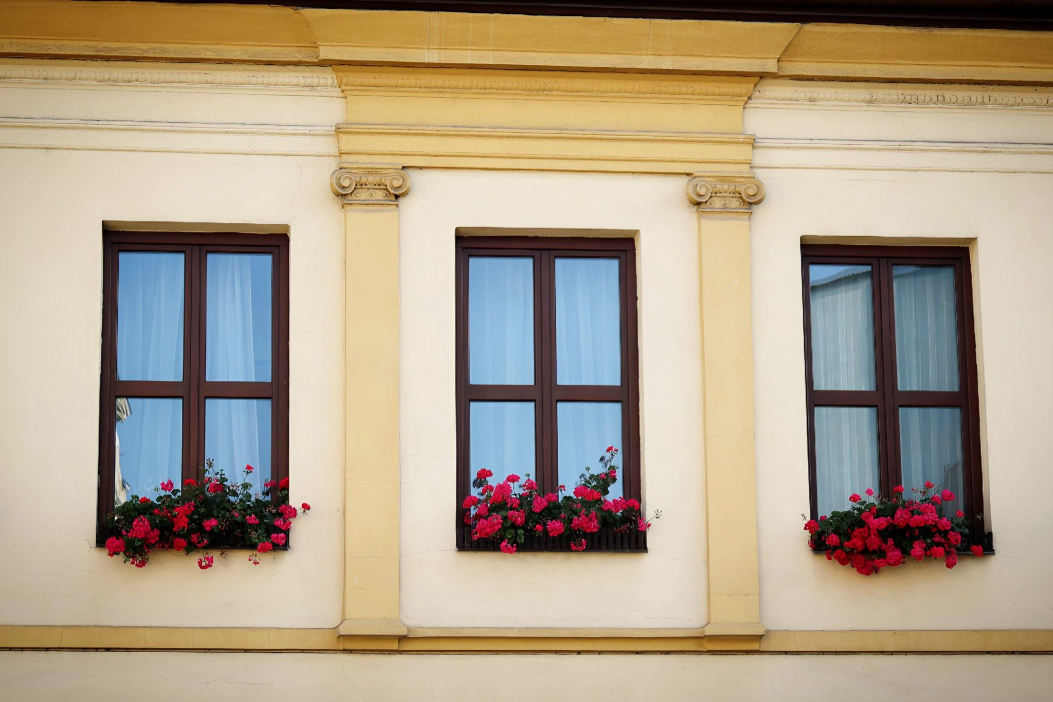 Elegant building façade featuring three windows with vibrant flower boxes.