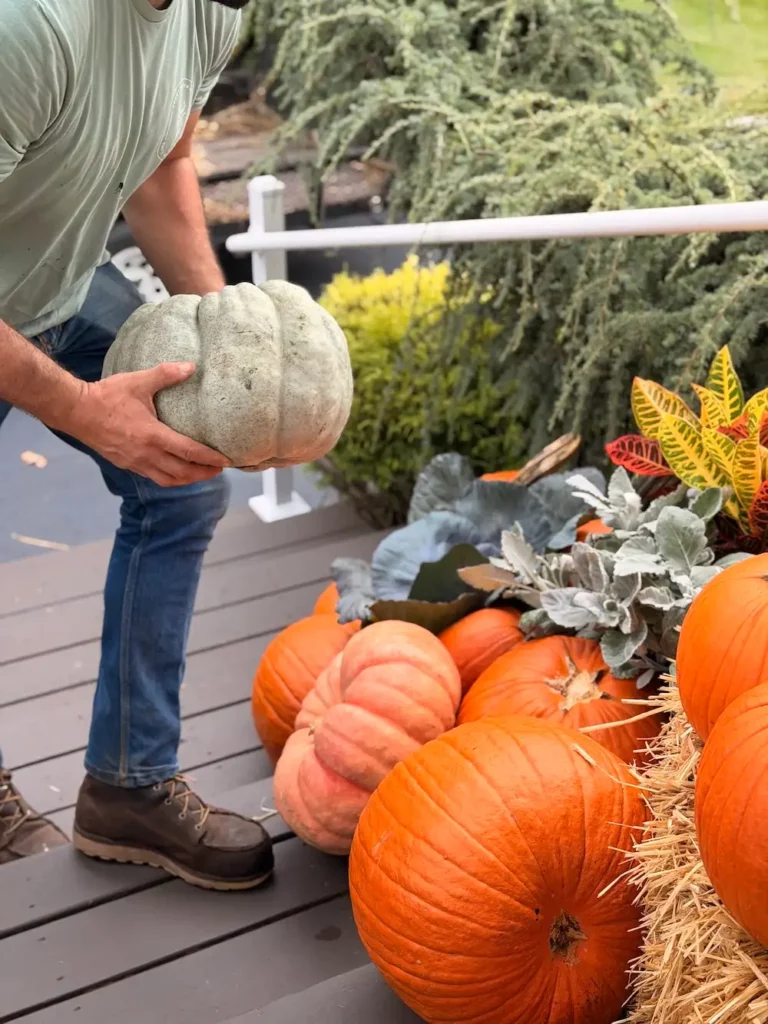Fall Porch Decor Suffolk County | Front Porch Flora