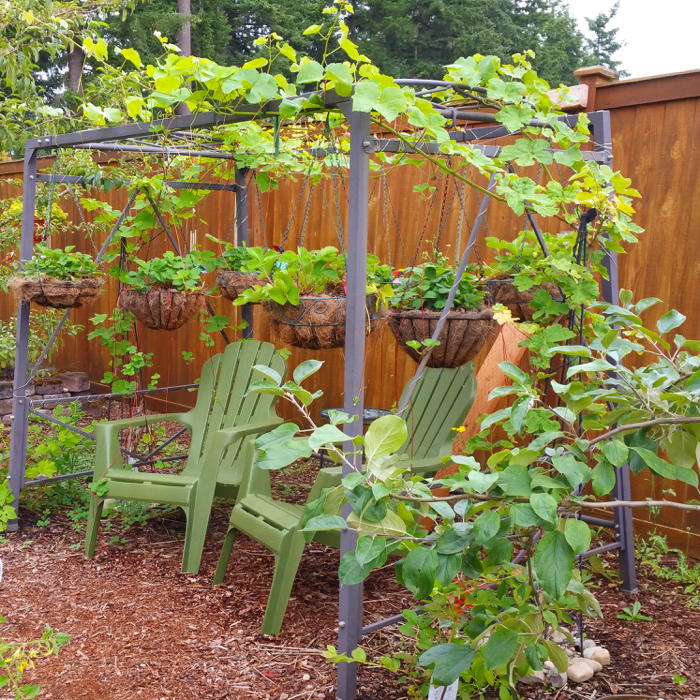 gardening – Gazing In