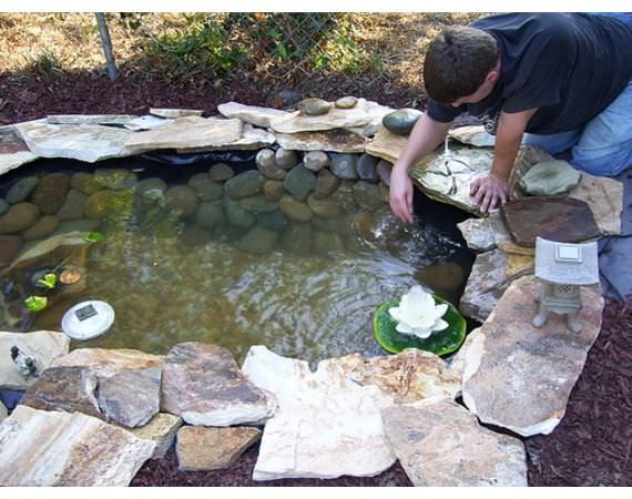 How to Build a Beautiful DIY Backyard Pond On a Budget • The Garden Glove