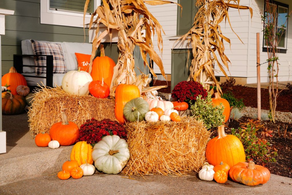 How to Create a Cozy Pumpkin Harvest Porch for Thanksgiving - Autumn Harvest Pumpkins