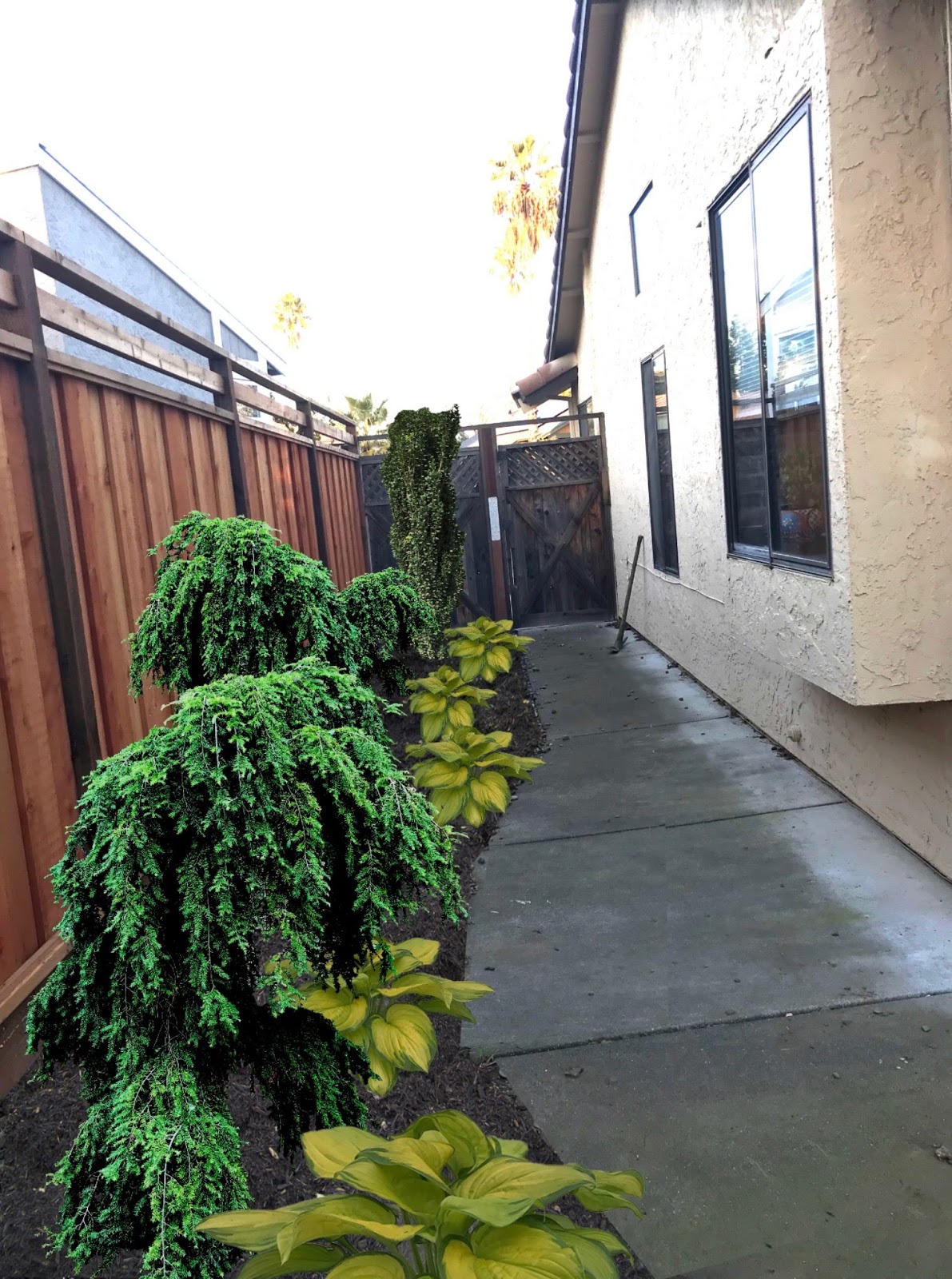How to Create Side Yard Designs That Get Used