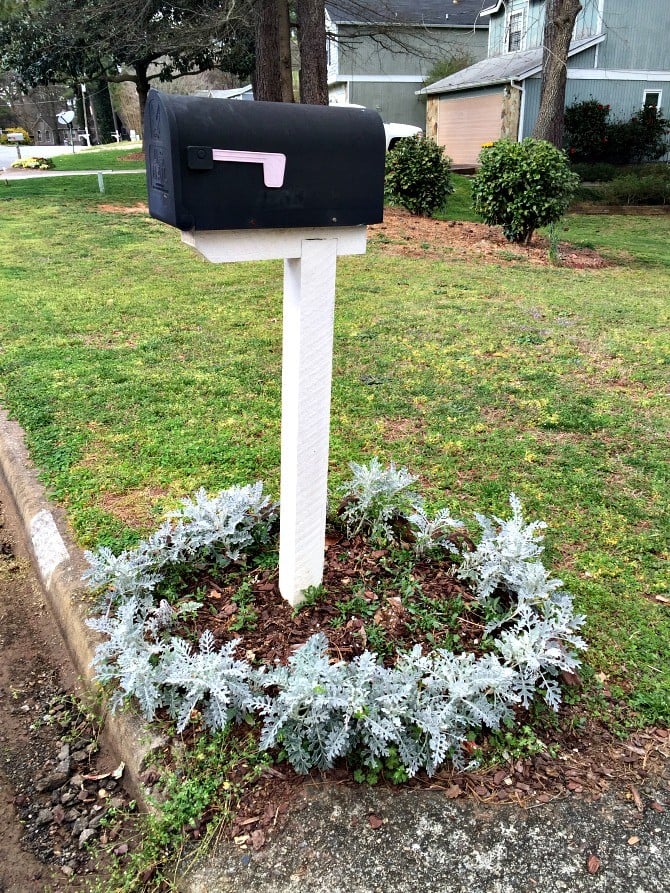 How to Edge a Mailbox Garden Bed + Adding Creeping Phlox • Ugly Duckling House