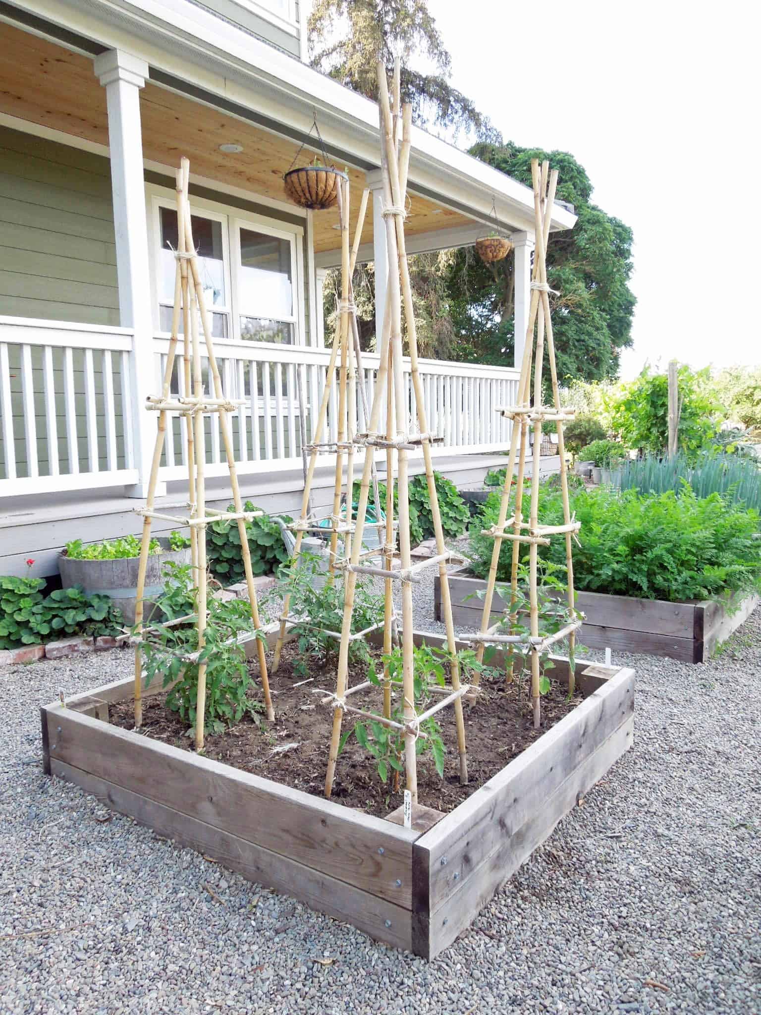 How to Make a DIY Tomato Trellis