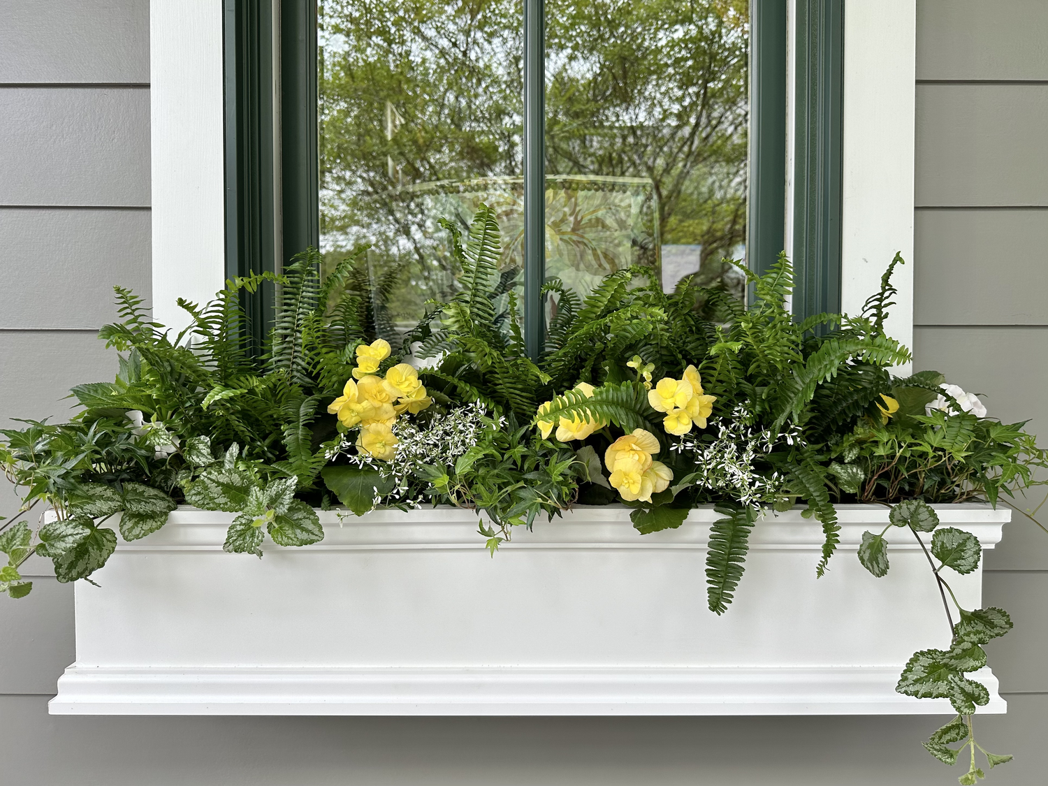 How to Plant Window Boxes Like a Pro — Contained Creations