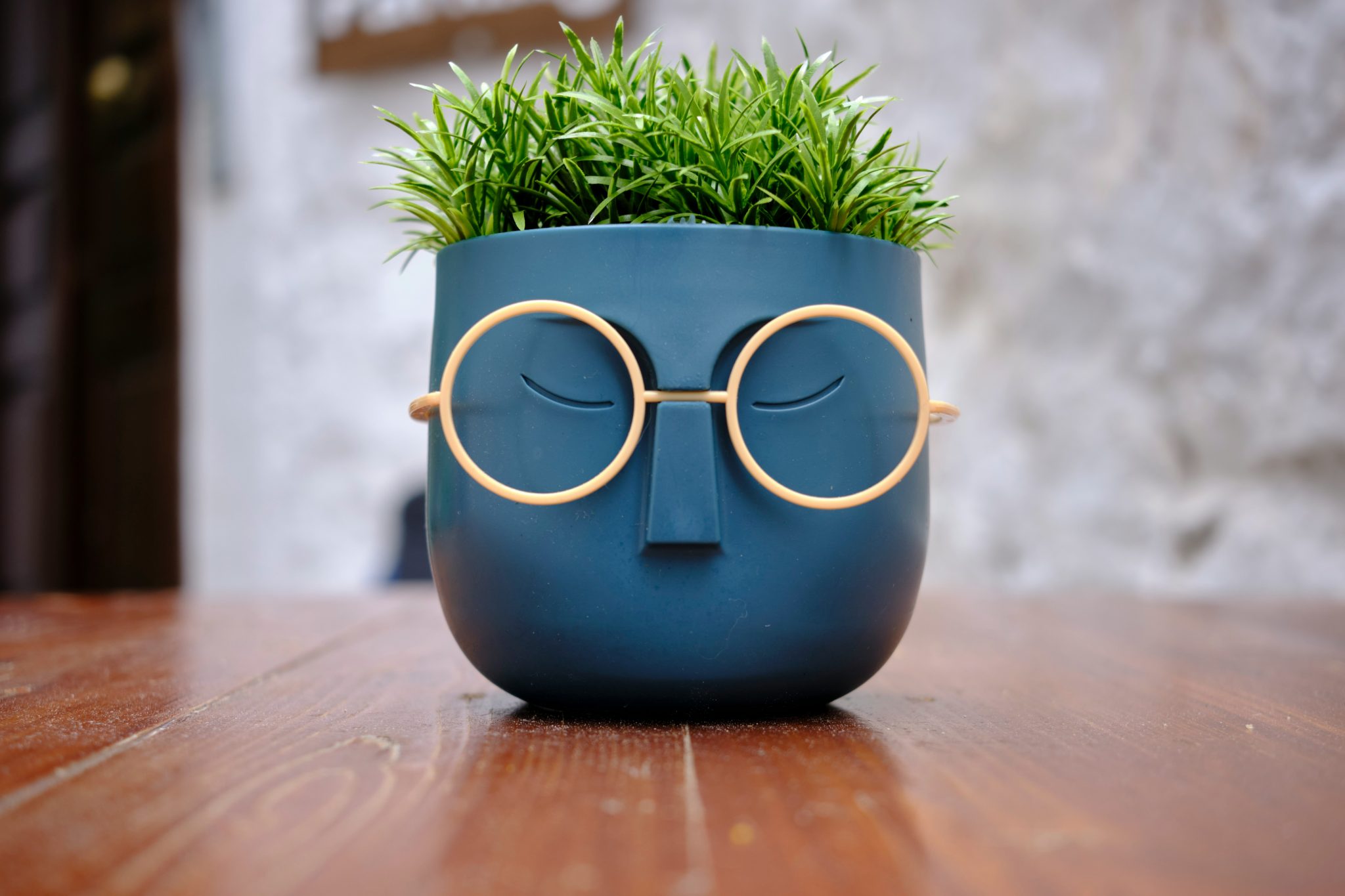 I found this cool looking potted plant at a bakery in Greece, the owner thought it was pretty funny that I took a photo of it