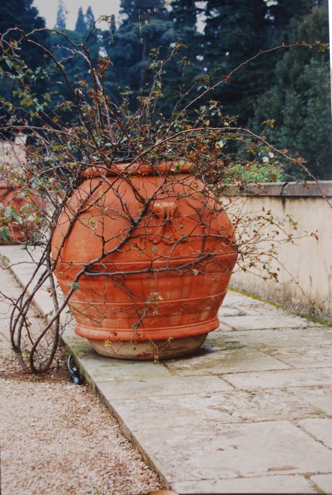 Italian terra cotta | Deborah Silver & Co.