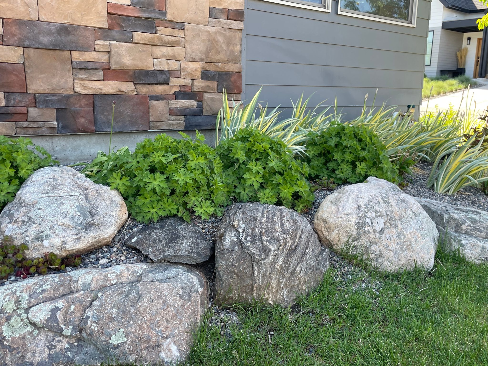 Landscaping With River Rock And Plants That Thrive