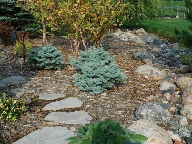 Low-Maintenance Front Yard Landscaping Ideas Using Rocks and Mulch | HGTV