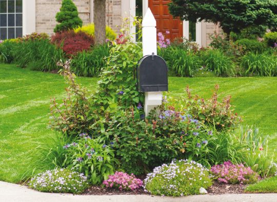 Mailbox Gardens: Create a Special Place for Special Deliveries - Central Virginia HOME Magazine