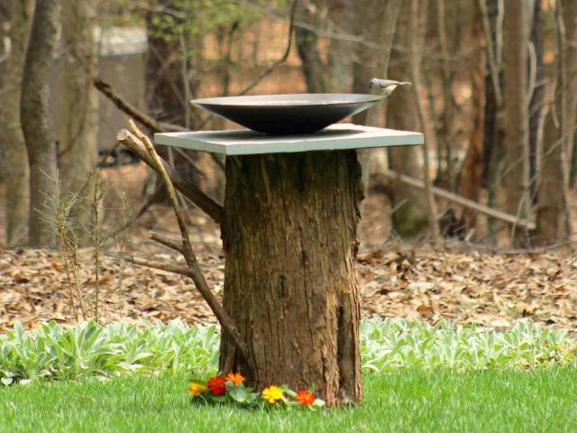 Make a Birdbath from an Old Tree Stump | Your Old Pal Mick