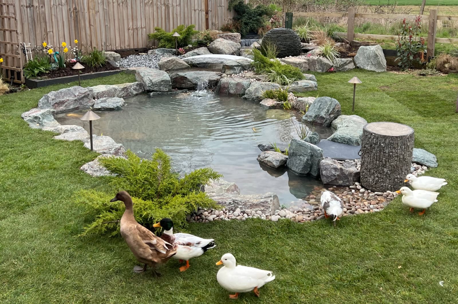 Medium Size Natural Pond in Hertfordshire | Brit Ponds