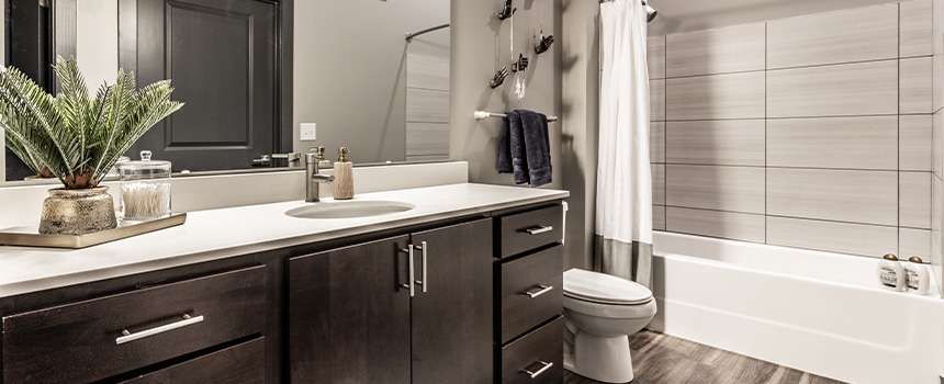 Mindblowing Apartment Bathroom Ideas In Greenwood | Verge Luxury Flats