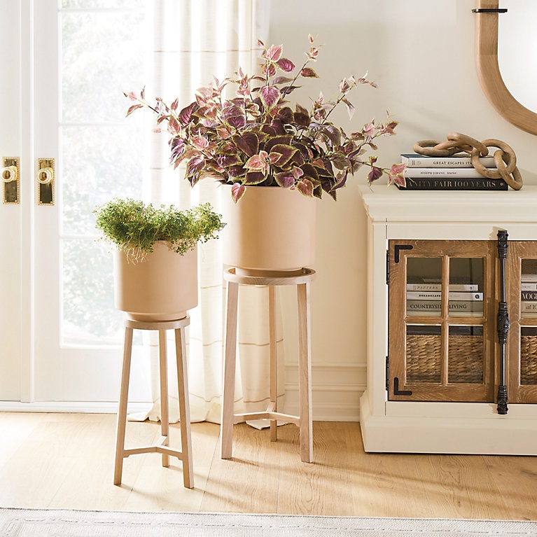 Ojai Indoor Terracotta Plant Pot & Plant Stand