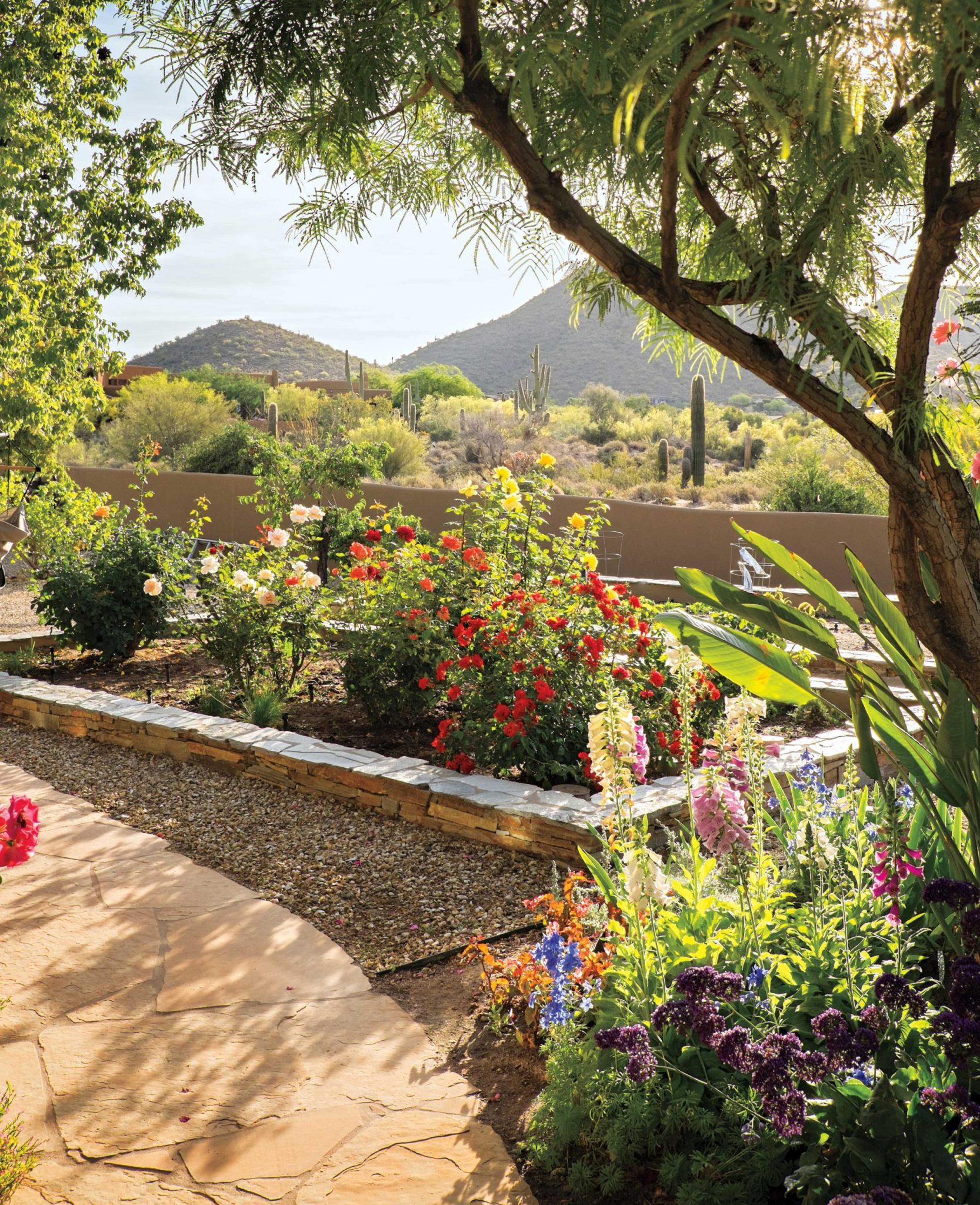 Painted Garden in Scottsdale: A Desert Canvas Comes to Life - Phoenix Home & Garden
